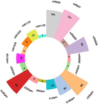 Predicting candidate miRNAs for targeting begomovirus to induce sequence-specific gene silencing in chilli plants